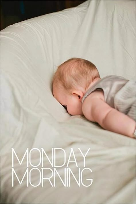 Monday Morning Monday Sucks, Nostalgic Photos, Monday Monday, I Hate Mondays, Monday Memes, Monday Humor, Week Quotes, Weekday Quotes, Happy Sunday Quotes