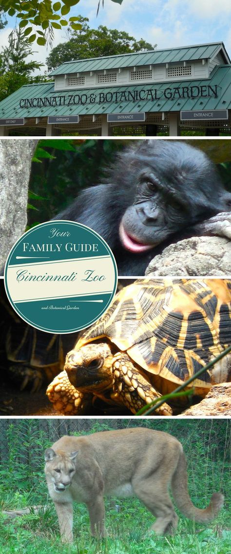 Things To Do In Ohio, Best Places To Vacation, Cincinnati Zoo, Midwest Travel, Family Vacay, Canadian Travel, Us Travel Destinations, Family Vacation Destinations, Roadside Attractions