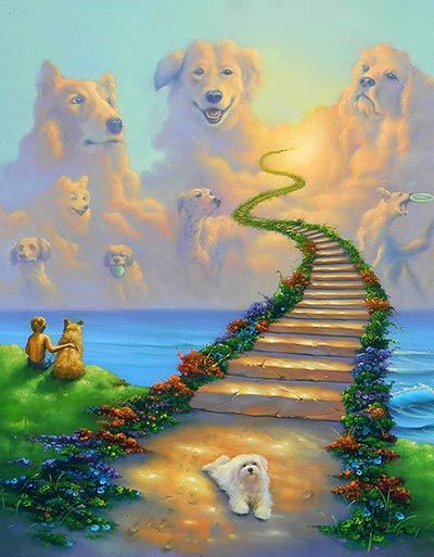 All Dogs Go To Heaven 2                                                                                                                                                     More All Dogs Go To Heaven, Dogs Go To Heaven, Dog Heaven, Pet Remembrance, 강아지 그림, All Dogs, To Heaven, Pet Loss, Dog Quotes