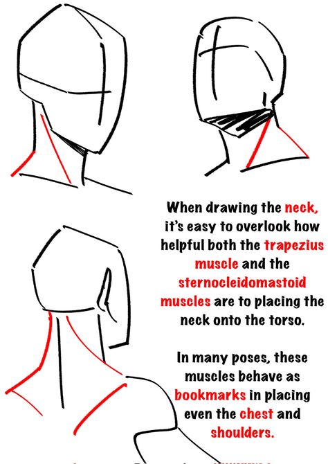 Drawing Instructions, Art Advice, Body Drawing Tutorial, Body Reference Drawing, Anatomy Drawing, Poses References, Figure Drawing Reference, Body Drawing, Anatomy Reference