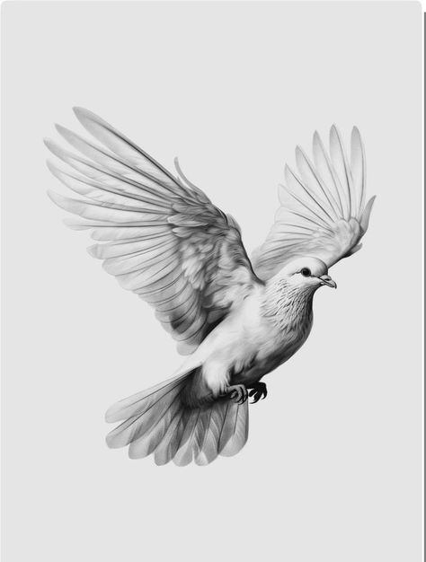 Dove Neck Tattoo, Dove Sketches, White Dove Tattoos, Church Poster Ideas, Collar Bone Tattoo For Men, Dove Drawing, Dove Tattoo Design, Biblical Tattoos, Dove Images