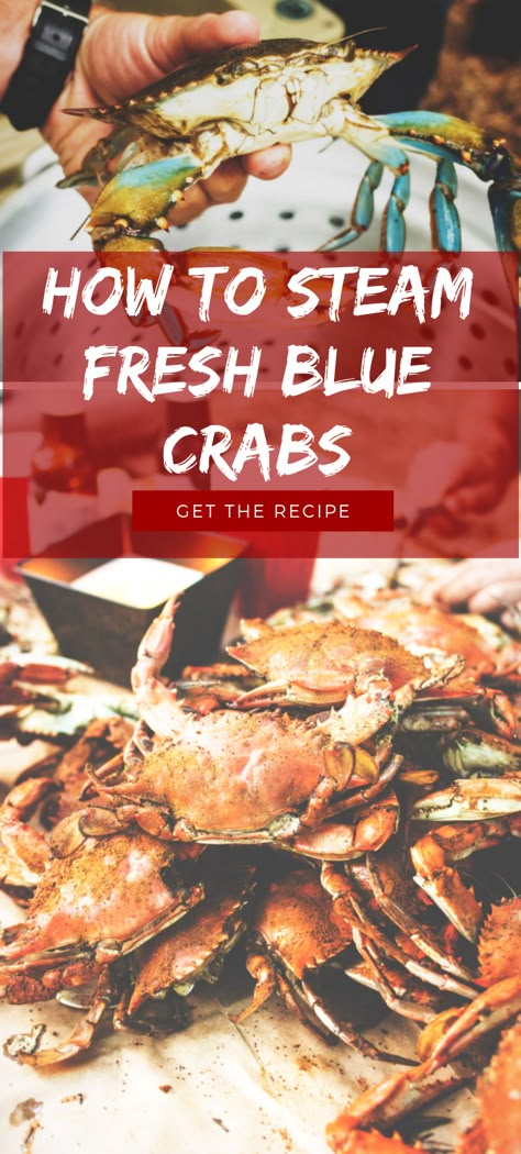 Maryland Blue Crab Recipes, How To Cook Fresh Crab, Steamed Blue Crab, Steamed Crabs Recipe, How To Eat Blue Crab, Blue Crab Boil Recipe, Fresh Crab Recipes, Blue Crab Recipe, Crabmeat Recipes