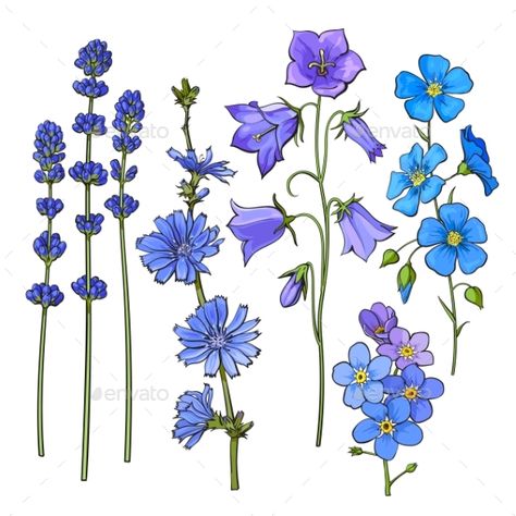 Hand Drawn Blue Flowers Blue Sketch, Blue Bell Drawing, Blue Flower Drawing, Cornflower Drawing Tattoo, Cornflower Drawing, Bluebells Flower Drawing, Blue Bell Flowers Drawing, Blue Things To Draw, Forget Me Not Botanical Illustration