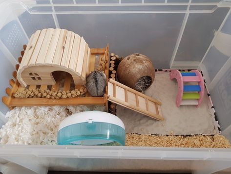 . Hamster Sand Bath Diy, Hamster Set Up Ideas, Hamster Cage Set Up, Hamster Bin Cage Set Up, Teddy Bear Hamster Cage Ideas, Hamster Set Up, Bin Cages For Hamsters, Hamster Cage Ideas Diy Bin, Hamster Bin Cage Ideas