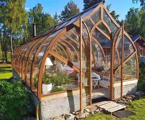 Diy Greenhouse Plans, Indoor Greenhouse, Backyard Greenhouse, Small Greenhouse, Greenhouse Plans, Diy Greenhouse, Garden Greenhouse, Greenhouse Gardening, Green House