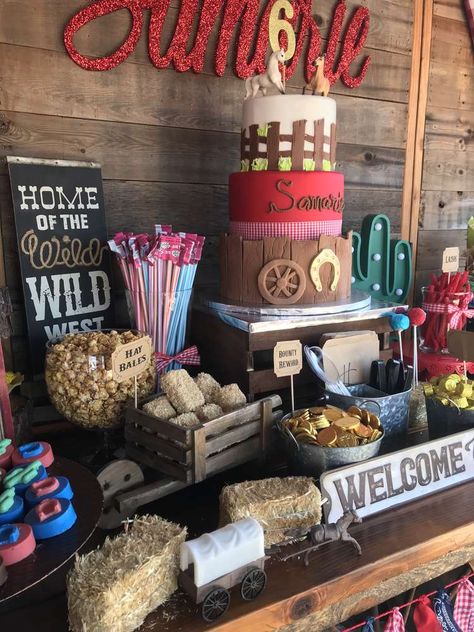 Cowboy Themed 40th Birthday Party, Country 50th Birthday Party Ideas, Stagecoach Themed Birthday, Western Birthday Party For Men, Outdoor Rodeo Party, Wild West First Birthday Party, 21st Rodeo Party, 18th Country Birthday Ideas, Buckaroo Birthday Party