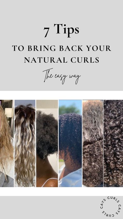 Grow Curly Hair, Defined Curls Natural Hair, Styling Braids, Natural Curly Hair Care, Damaged Curly Hair, Curl Routine, Eva Hair, Natural Curly Hair, Hair Mistakes