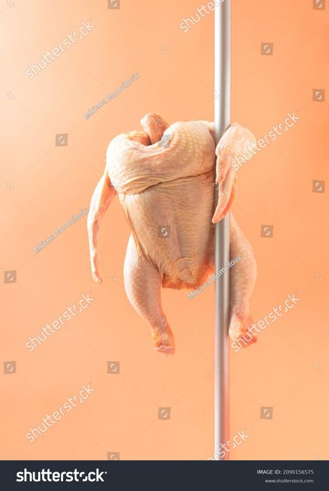 Raw Chicken Performs Pole Dance Orange Stock Photo 2090156575 | Shutterstock Pole Dance, Chicken Dancing, Dancing Chicken, Camaro Black, Raw Chicken, Funny Chicken, Chicken Scratch, Chicken Humor, Pole Dancing