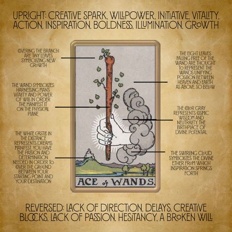 Ace of Wands means that new opportunities and ideas are on the horizon, and that now is the time to take action and seize them. The idea is worth nothing without the work needed to bring it to reality. Learn More: https://www.mysticdoorway.com/ace-of-wands/ #aceofwands #fortunetelling #minorarcana #mystic #tarot #lawofattraction #cartomancy #tarotdeck #tarotcards #divination #witchyvibes #mysticdoorway #metaphysical #witchesofinstagram Ace Of Wands Tarot Meaning, Ace Meaning, Tarot Wands, Celtic Tarot, Ace Of Wands, Card Symbols, Kartu Tarot, The World Tarot, Learning Tarot