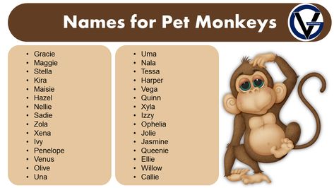 Pet monkeys have become a popular choice for many people seeking unique and exotic pets. These intelligent and social animals are known for their playful and mischievous personalities, making them great companions. However, before bringing home a pet monkey, it is essential to choose a suitable name that suits its personality and characteristics. The right … Good Names for Pet Monkeys | Naming Idea Read More » Pet Names For Boys, Pet Names For Girls, Good Names, Monkey Names, Donkey Kong Junior, Small Monkey, Small Theatre, Spider Monkey, Pet Monkey