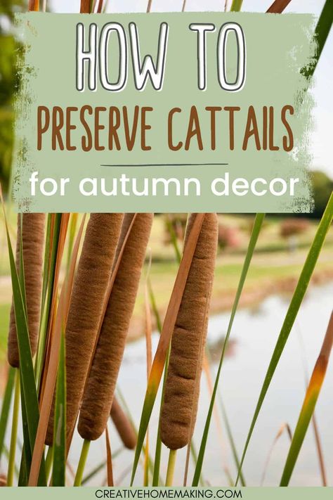 Learn how to preserve cattails for stunning fall decor! Our step-by-step guide shows you how to dry and treat cattails to make them last longer and keep their natural beauty. Use them to create unique centerpieces, wreaths, or other autumnal arrangements. Perfect for adding a touch of rustic charm to your home or event. Pin now to save for later! Arrangements With Cattails, Wreath With Cattails, Foraging Fall Decor, Dried Natural Arrangements, Fall Decor Natural Diy, How To Dry Cattails, Cattail Centerpieces Wedding, Cat Tail Centerpieces, Cat Tail Arrangements