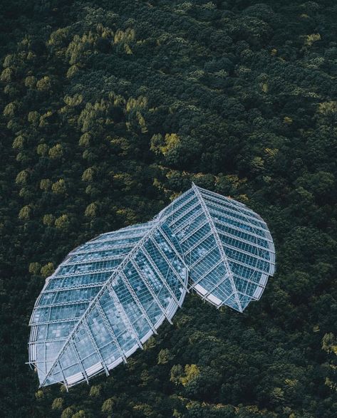 Leaf Building in Nanjing, China. Photo by @cocoanext China Forest, Architecture Cool, Nanjing China, Architecture Unique, Pavilion Architecture, Luxury Boat, Types Of Architecture, Archi Design, Architecture Concept Drawings