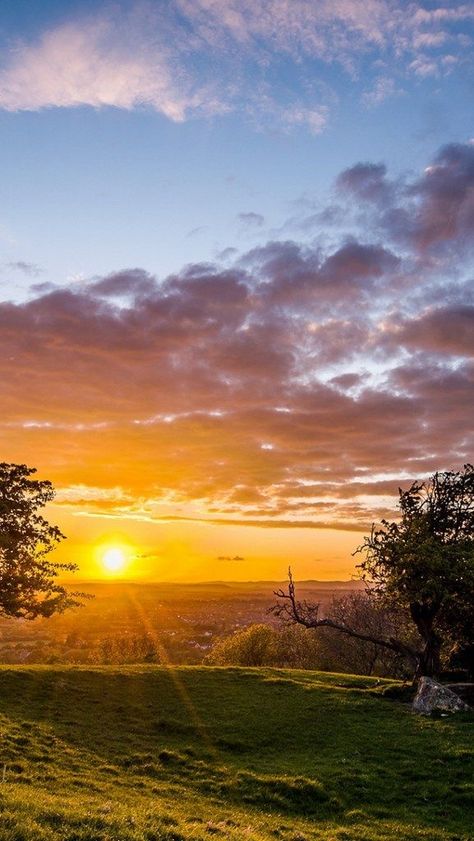 Beautiful Nature Landscape, Sunset Trees, Summer Nature Photography, Wallpaper Sunset, Trees Landscape, Mystical Places, Landscape Sunset, Scenic Photography, Sky View