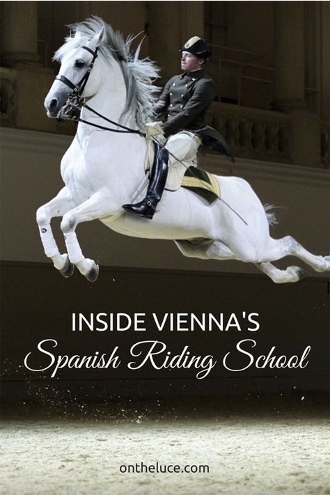 Hapsburg Family, Spanish Riding School Vienna, Lippizaner, Spanish Riding School, Spanish Horse, Tips For Saving Money, Riding School, Most Beautiful Horses, Majestic Horse