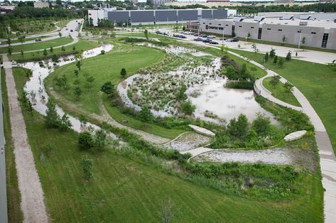 Rain Garden Design, Sponge City, Retention Pond, Green Infrastructure, Landscape Stairs, Stormwater Management, Stadium Design, Water Projects, Water Parks