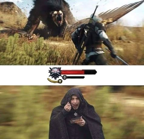 The Witcher Roach, Witcher 3 Funny, Geralt Fanart Witcher 3, Witcher Funny, Skyrim Memes Funny, Geralt Witcher 3 Meme, Witcher 3 Memes, The Witcher Game, Funny Looking Cats