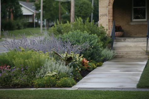 The early 20th-century prairie-style gardens Jens Jensen designed for Chicago parks and private clients celebrated the Great Plains. 10 ideas to steal: Leaves Of Grass, Perennial Grasses, Prairie Garden, Front Garden Landscape, Garden Shrubs, Front Lawn, Front Yard Garden, Garden Tours, Garden Boxes