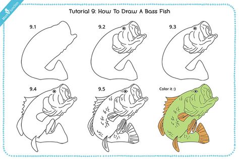 How To Draw A Bass Fish Step By Step, How To Draw A Bass Fish, Pictures Of Fish To Draw, Bass Fish Drawing Easy, Bass Painting Easy, Bass Drawing Fish, How To Paint Fish, Bass Outline, Bass Fish Painting