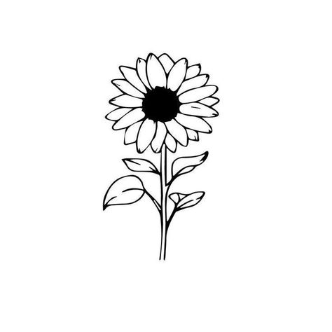 Sunflower Doodle, Engagement Tattoos, Sketch Rose, Sunflower Tattoo Simple, Sunflower Sketches, Modern Floral Art, Rose Line Art, Hope Tattoo, Sunflower Illustration