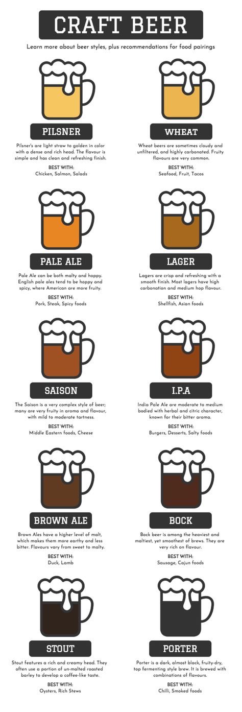 Cooking Infographic, Food Infographic Design, Craft Beer Food Pairing, Comparison Infographic, Beer Infographic, Beer Tattoo, Beer Food Pairings, Data Infographic, Craft Beer Recipes