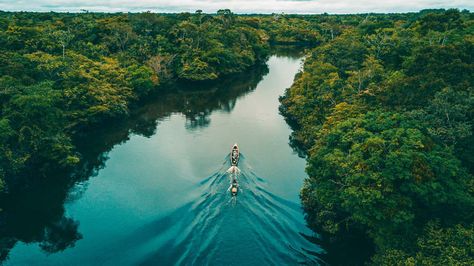 Stories+from+the+Amazon:+Exploring+the+Amazon+River+Basin+in+Peru The Amazon River, Congo River, Amazon Forest, Socotra, River Water, Iguazu Falls, Amazon River, River Basin, Brazil Travel