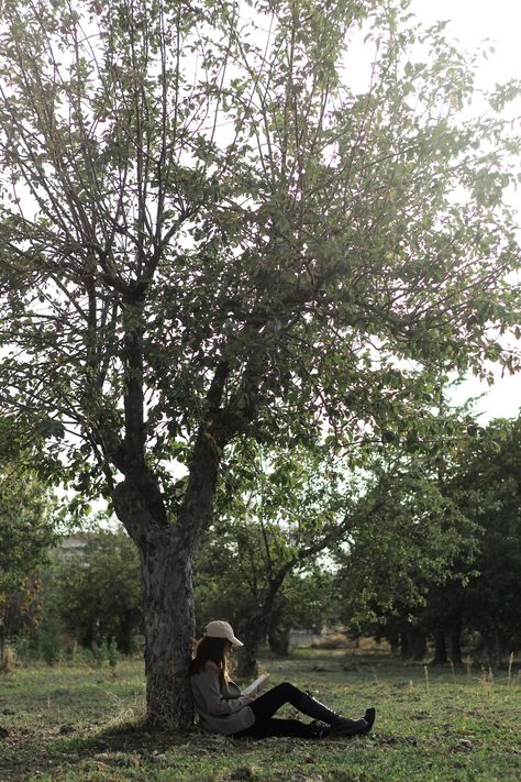 A Person Sitting under a Tree in a Park · Free Stock Photo Person Sitting Under Tree, Person Sitting On Ground, Reading Book Under Tree, Poses In Park, Park Poses, Zombie Au, Peaceful Reading, Sitting Under A Tree, A Person Sitting