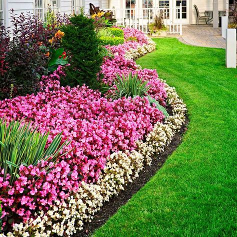 10 Flower Border Ideas and Designs | Family Handyman Steel Edging Landscape, Garden Pavers, Small Front Yard, Flower Bed Ideas, Piscina Natural, Garden Wallpaper, Lawn Edging, Landscape Edging, Outdoor Garden Decor