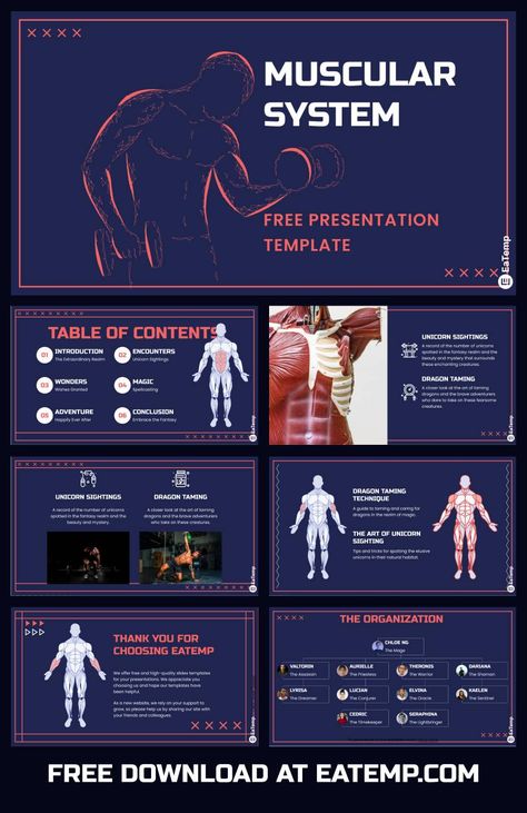 Muscular System 13 Skeletal And Muscular System, The Muscular System, Illustrator Ideas, Muscle System, Powerpoint Ideas, Anatomy Physiology, Powerpoint Slide Designs, Muscular System, Project Planning