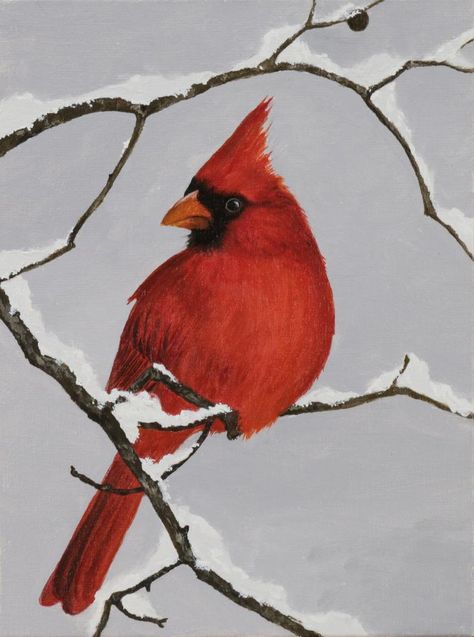 Cardinal On A Branch, Cardinal Birds Art, Bird Painting Acrylic, Cardinal Painting, Bird Paintings On Canvas, Christmas Canvas Art, Christmas Paintings On Canvas, Holiday Painting, Winter Painting