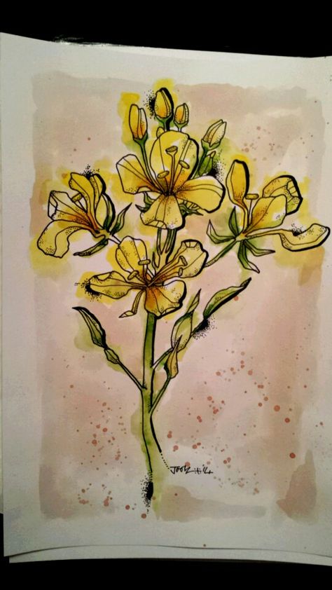 Mustard flowers. From Three Flowers. Commissioned artwork. Ink on heavy paper. Mustard Seed Flower Tattoo, Mustard Tattoo, Mustard Seed Tattoo Ideas, Mustard Flower Tattoo, Mustard Seed Drawing, Mustard Plant Tattoo, Mustard Seed Plant Drawing, Mustard Seed Tattoo, Mustard Seed Flower