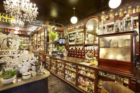 Cabinet Of Curiosities Haworth, Boutique Jewelry Store, Apothecary Shop, Cabinet Of Curiosity, Chocolate Stores, Curiosity Shop, Cabinet Of Curiosities, Shop Fittings, The Cabinet