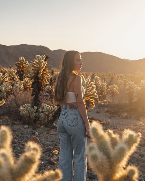 Golden hour in Joshua Tree ✨ #joshuatree #joshuatreenationalpark #chollacactus #goldenhour #travelphotography Joshua Tree Outfit Ideas Winter, Joshua Tree Outfit Ideas, Joshua Tree Outfit, Cactus Photoshoot, Joshua Tree Photoshoot, Arizona Photoshoot, Tree Outfit, Birthday Pic, Outfit Ideas Winter