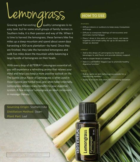 A popular digestive tonic, doTERRA Lemongrass has a refreshing lemon-herb-like aroma.* Lemongrass essential oil supports the health of the nervous system, promotes a cheerful mood, and tones the skin. It’s also a popular oil to use in massage to refresh and rejuvenate muscles. #healthtips #naturalhealth #doterra #essentialoils Doterra Lemongrass, Doterra Recipes, Lemongrass Oil, Essential Oil Storage, Essential Oil Diffuser Recipes, Oil Diffuser Recipes, Aromatic Plant, Lemongrass Essential Oil, The Nervous System