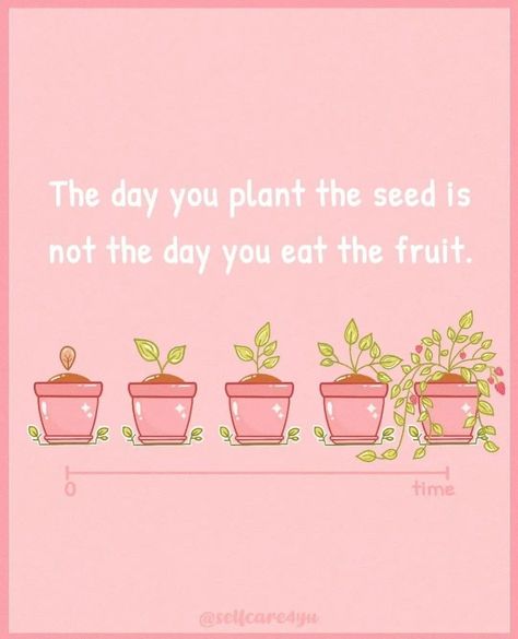 Planting Seeds Quotes, Seed Quotes, Nature Healing, Brilliant Quote, Aesthetic Content, Inspirational Humor, Thought Process, Daily Habits, Planting Seeds