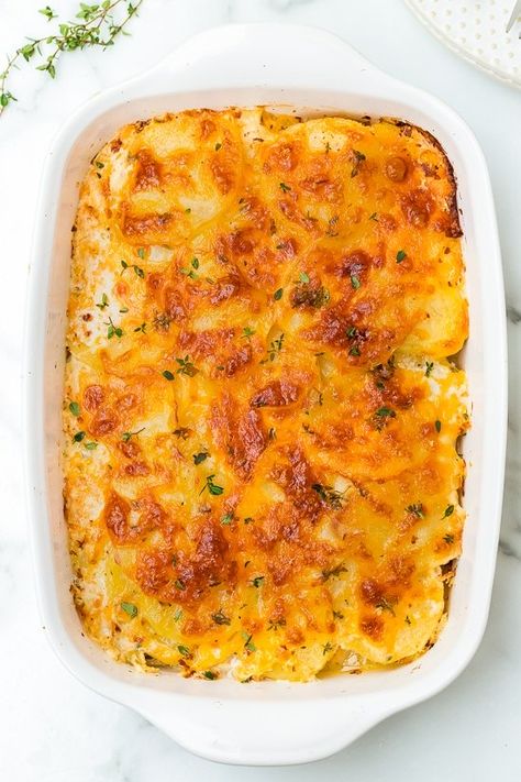 Panini Recipes Chicken, Potato Gratin Recipe, Scalloped Potato, Gold Potatoes, Potatoes Au Gratin, Yukon Gold, Scallop Recipes, Potato Gratin, Eat Seasonal