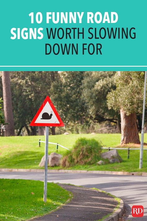 These odd signs will definitely make you laugh and spice up your everyday commute. Take a look, but don't take your eyes off the road! #funny #humor #roadsigns Funny Speed Limit Signs, Potholes Humor Roads, Funny Traffic Signs, Slow Down Signs Roads, Slow Down Signs Funny, Funny Road Signs Hilarious, Traffic Humor, Funny Signs Humor, Slow Down Sign