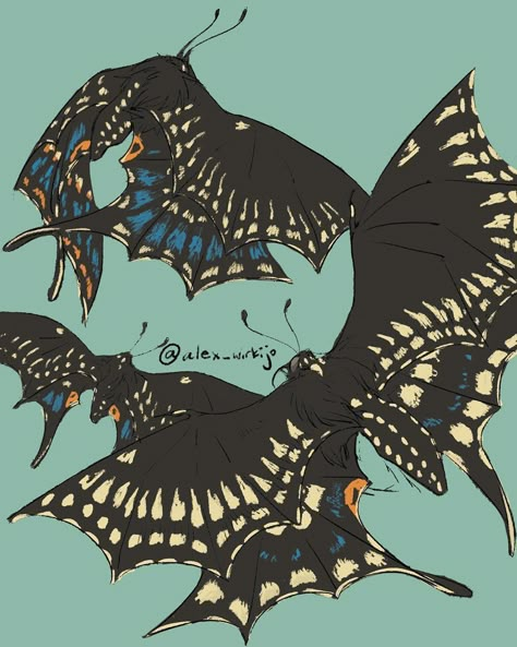 Butterfly Creature Concept Art, Insect Dragon Concept Art, Butterfly Monster Art, Person With Butterfly Wings, Butterfly Oc Art, Butterfly Drawing Reference, Butterfly Humanoid, Mothra Design, Anthro Butterfly