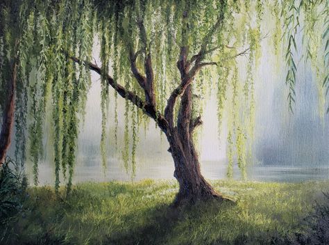 How To Paint Weeping Willow Trees, Willow Tree Oil Painting, Weeping Willow Tree Watercolor, Weeping Willow Tree Aesthetic, Willow Tree Mural, Weeping Willow Drawing, Beautiful Tree Drawing, Weeping Willow Tree Painting, Weeping Willow Painting