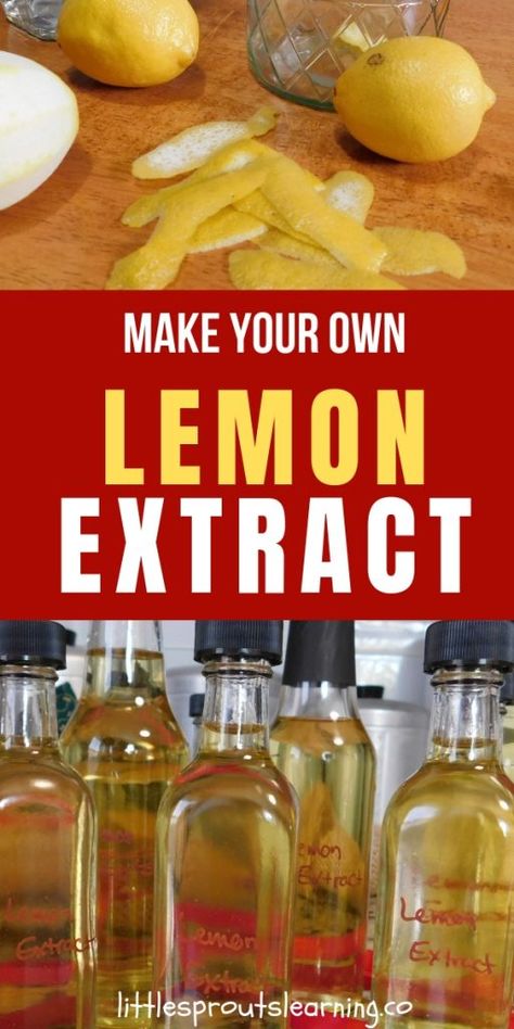 Make Your Own Lemon Extract Fresh Lemon Recipes, Diy Extracts, Lemon Uses, Lemon Extract, Homemade Spices, Homemade Seasonings, Dehydrated Food, Homemade Vanilla, Lemon Recipes