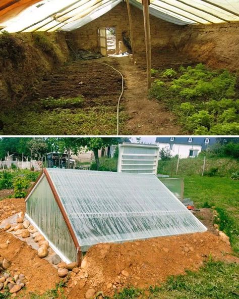 Year Round Greenhouse, Round Greenhouse, Underground Garden, Underground Greenhouse, Diy Ponds Backyard, Underground Pool, Shed Of The Year, Modern Agriculture, Farming Techniques