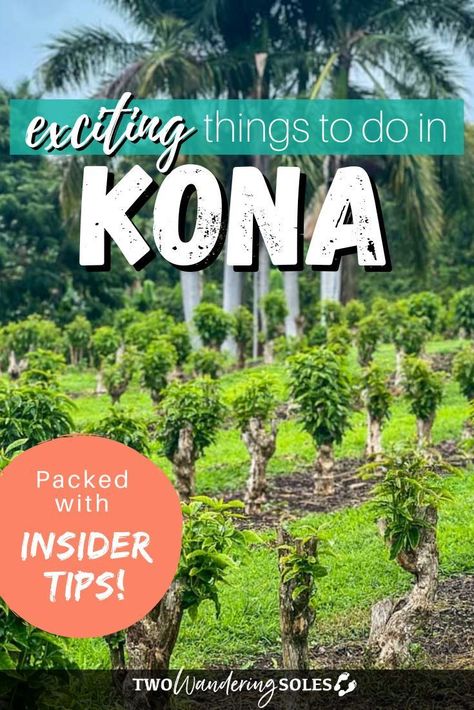 Kona Big Island, What To Do In Kona Hawaii, Kona Hawaii Things To Do In, Things To Do In Kona Hawaii, Hawaii Tips, Big Island Hawaii Beaches, Kona Island, Hawaii Scrapbook, Hawaii Trip Planning