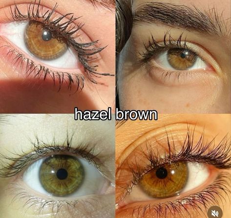 Great+grandpa color hair brown  Hazel eyes, And Honey Brown eyes Green Brown Eyes Aesthetic, Color Hair Brown, Honey Brown Eyes, Hazel Eyes Hair Color, Brown Hazel Eyes, Chocolate Claro, Pretty Eyes Color, Brown Hair And Hazel Eyes, Hazel Brown Eyes