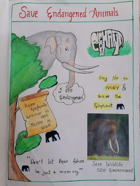 Poster On Endangered Animals, Endangered Animals Craft, Endangered Animals Poster Project, Save Endangered Animals Poster, Save The Animals Poster, Poster On Wildlife Conservation, Save Wildlife Poster Painting, Save Wildlife Poster Ideas, Wildlife Conservation Poster