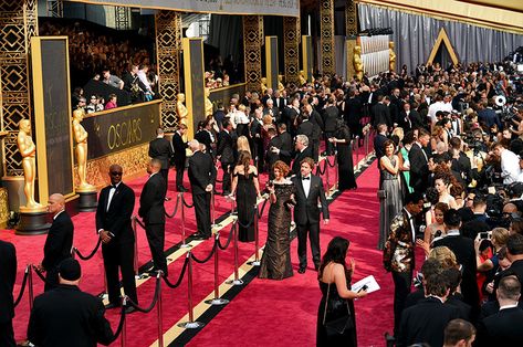 Oscars Aesthetic, Red Carpet Aesthetic, Actress Career, Academy Awards Red Carpet, Hollywood Aesthetic, Red Carpet Awards, Oscars Red Carpet, Hollywood Red Carpet, Oscar Award