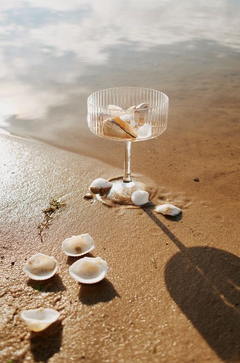 A glass of wine sitting on top of a sandy beach photo – Free Summer time Image on Unsplash Beach Champagne, Champagne Beach, Sea Life Animals, Cocktail Photography, Beach Drinks, Time Images, Beach Images, Studio Photoshoot, Free Summer