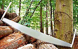 One Man Crosscut Saws, Two Man Crosscut Saws | FINE TOOLS Cut Down Trees, Crosscut Saw, Lumberjack Style, Logging Industry, Tool Tips, Vintage Hand Tools, Doomsday Prepping, Fire Wood, Green Woodworking