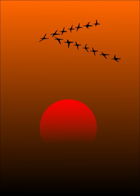 Evening Sun, Migratory Birds, Flock Of Birds, Bird Wings, Text For Her, Amazing Art Painting, Jolie Photo, Public Domain Images, Birds Flying