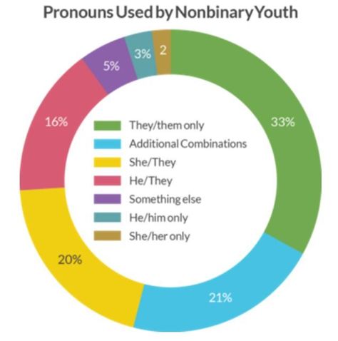 Why Are Pronouns Important at School? What Are Gender Pronouns? What Is the Impact of not Acknowledging Pronouns? What Are Neopronouns, Neo Pronouns List, Pronoun Check, List Of Pronouns, Neo Pronouns, Lgbt Culture, Gender Euphoria, What Is Gender, Classroom Assessment