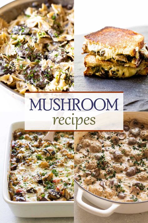 If you love mushrooms, you will love this recipe collection! Browse 17 recipes with mushrooms. Soup, sandwiches, salads, and pasta recipes - there are so many you'll want to try. Dinner Guests Recipes, Recipes With Mushrooms, Mushrooms Soup, Steak Salad Recipe, Noodle Bowls Recipes, Creamy Soup Recipes, Tuna Casserole Recipes, Mushroom Recipes Pasta, Marinara Recipe