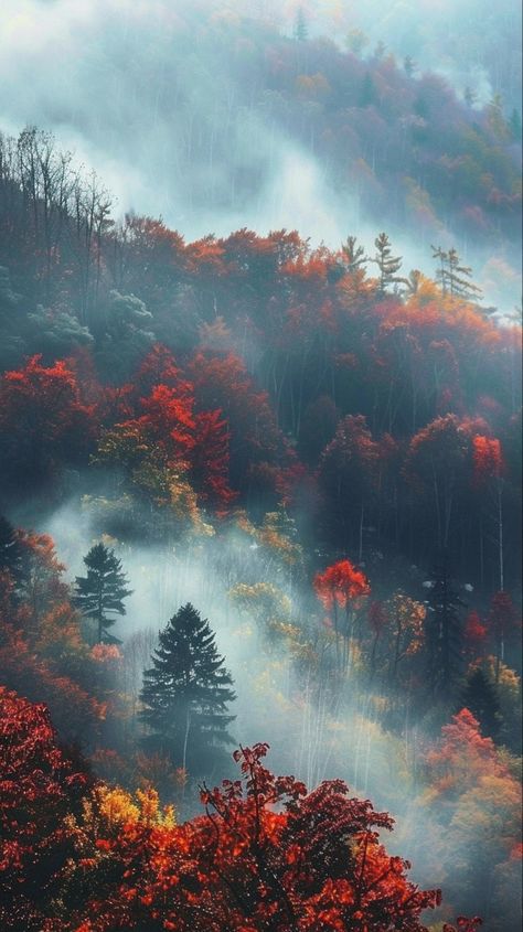 Aesthetic Wallpaper Fall Vintage, Fall Wallpaper Tumblr, Autumn Magic, Wallpaper Tumblr, Pretty Landscapes, Autumn Scenery, Fall Wallpaper, Scenery Wallpaper, Nature Travel